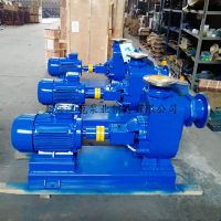 300ZW250-30P 大流量耐酸堿汙水自吸泵