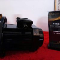 上海軟啟動製動電機廠家