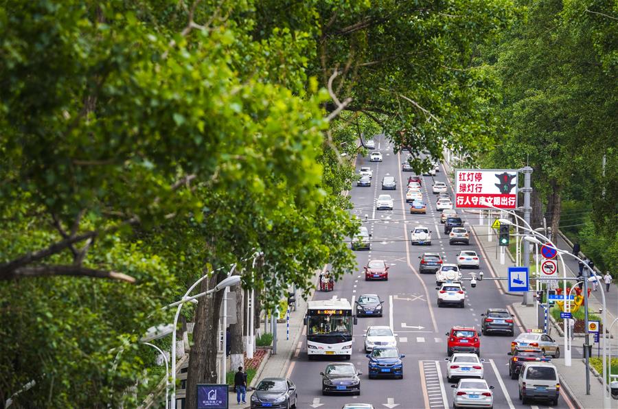 （環境）（4）長春：城市&ldquo;綠妝&rdquo;