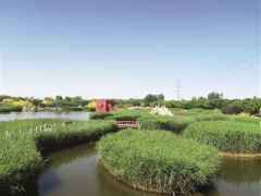 臨港濕地公園：“環保”“顏值”兼容並蓄