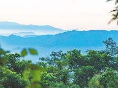 海南熱帶雨林國家公園開展一體化監測體係試點建設