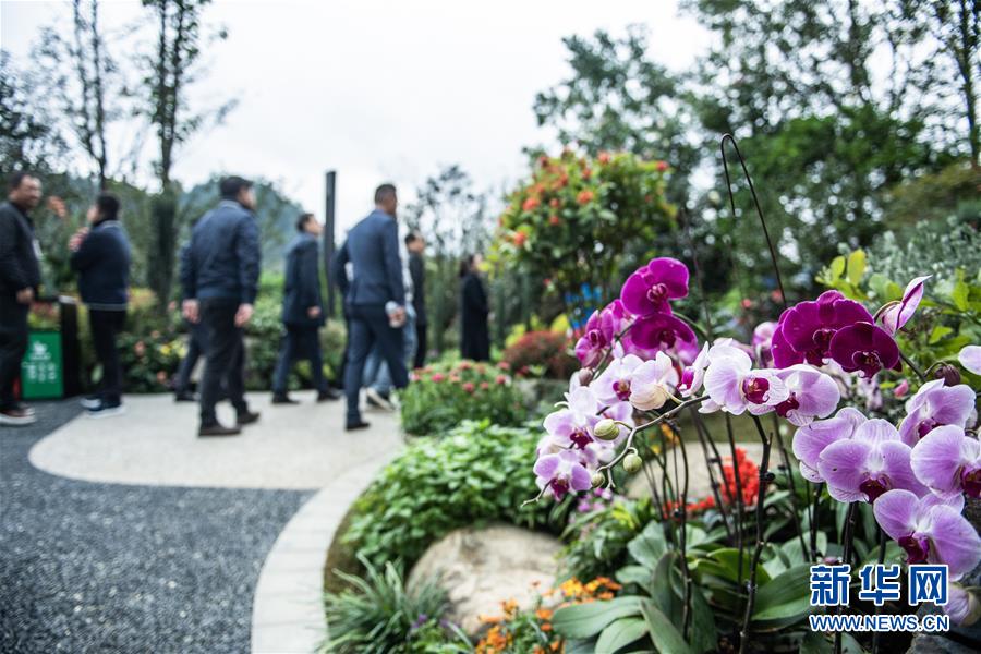 （圖文互動）（5）以自然之道，養萬物之生&mdash;&mdash;第四屆中國綠化博覽會亮點掃描