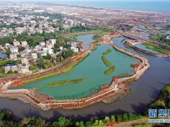 海口江東新區生態修複