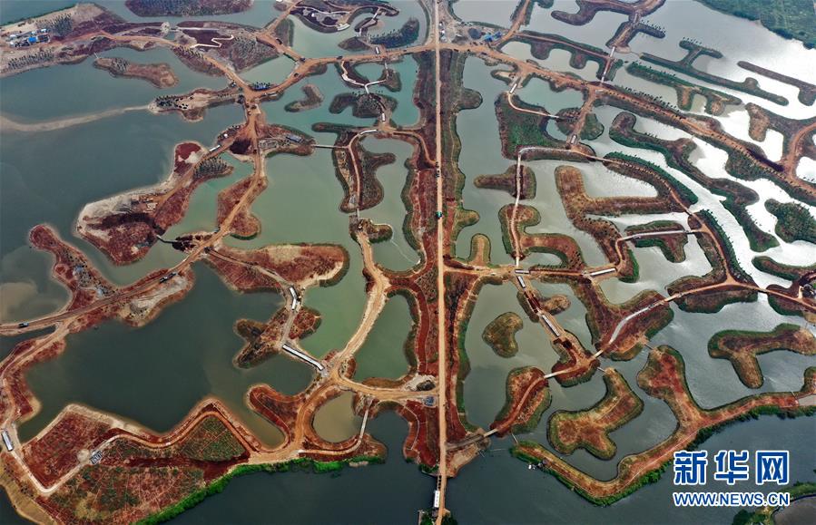 （環境）（3）海口江東新區生態修複