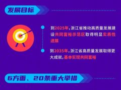 中央放大招：共同富裕示範區來了!