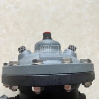 伯爾梅特反衝洗控製閥