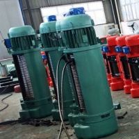 滄州電動葫蘆來電定製