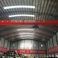 成都歐式雙梁起重機 10噸 可定製適用於各種工業場合